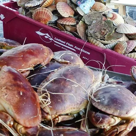 Prázdninový dům Baie Du Mont Saint Michel / De La Vaquerie Vains