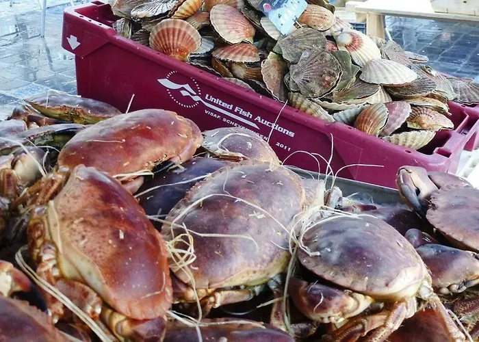 Tatil Evi Baie Du Mont Saint Michel / De La Vaquerie Vains