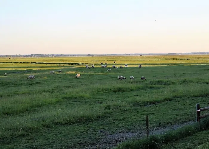 Baie Du Mont Saint Michel / De La Vaquerie Tatil Evi *
